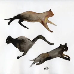 Run Cat Run, 2017, (tinta papíron)